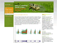 Tablet Screenshot of cicadasong.eu